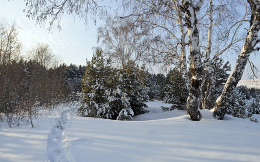 712891 (a): :2560x1600